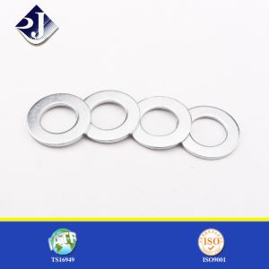ASME ANSI Düz Yıkayıcı